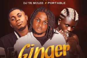 Vickyreign – Ginger Ft Portable & DJ YK