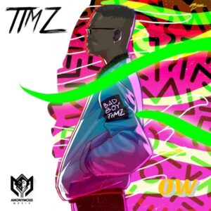 Bad Boy Timz – Don’t Go