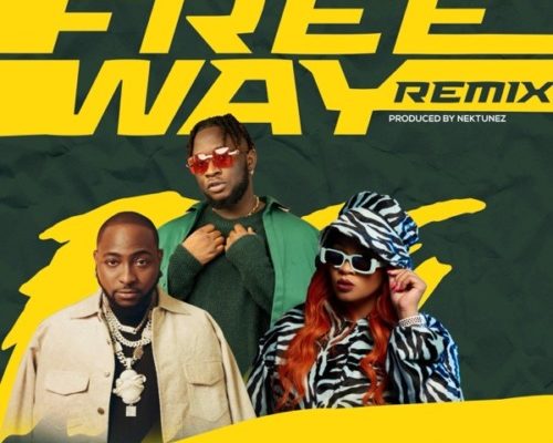 Tripsy, Lady Du, Davido & Nektunez – Freeway (Remix) ft. DJ Pee Raven 1 Tripsy, Lady Du, Davido & Nektunez – Freeway (Remix) ft. DJ Pee Raven - Featured Image